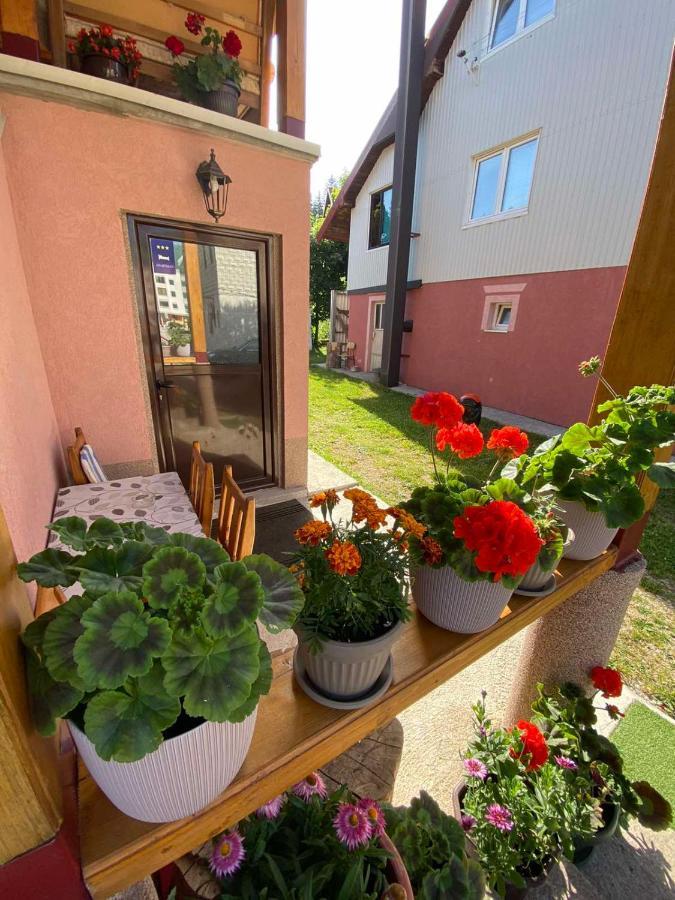 Apartman Kaljevic Apartment Zabljak  Exterior photo